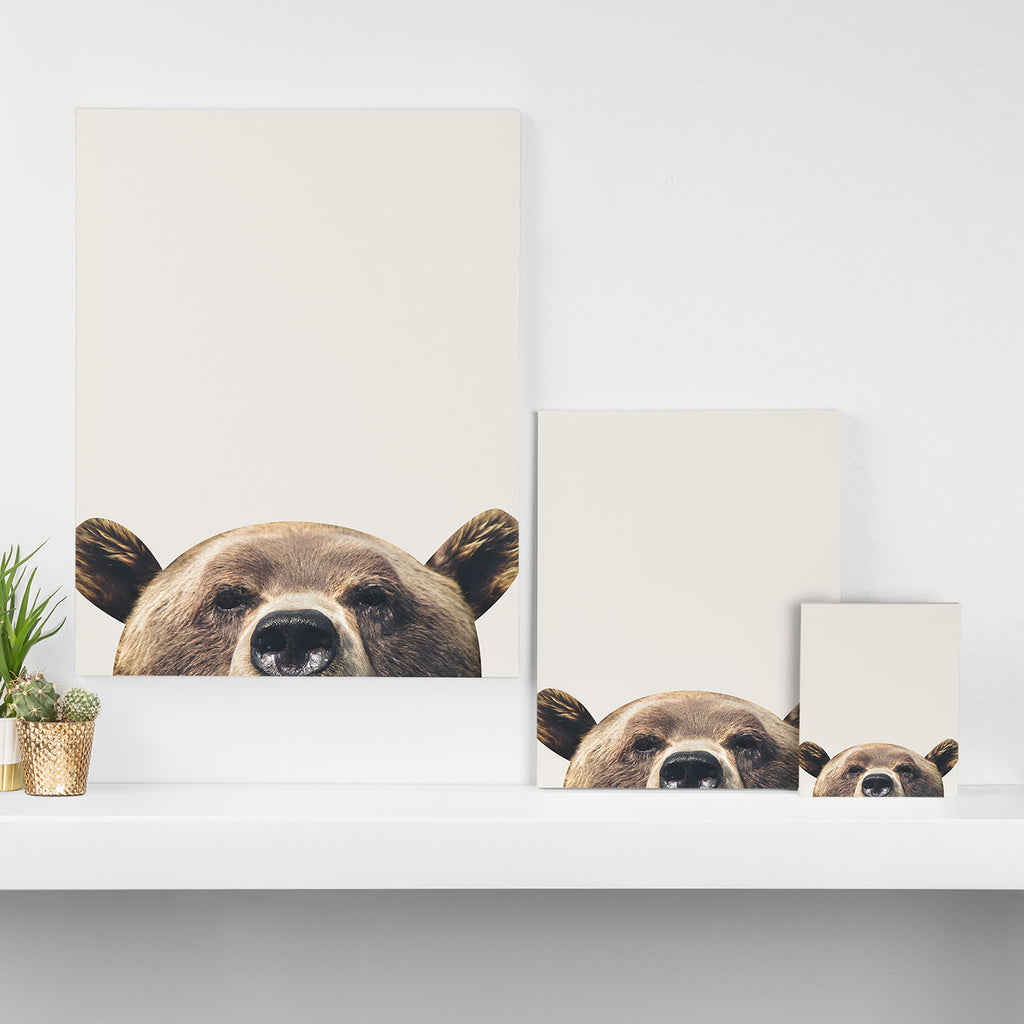 Bear Canvas Print Gallery Image 3