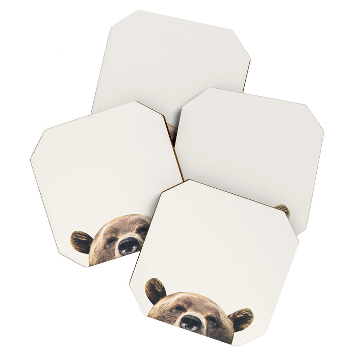 Bear Coaster Gallery Image 1