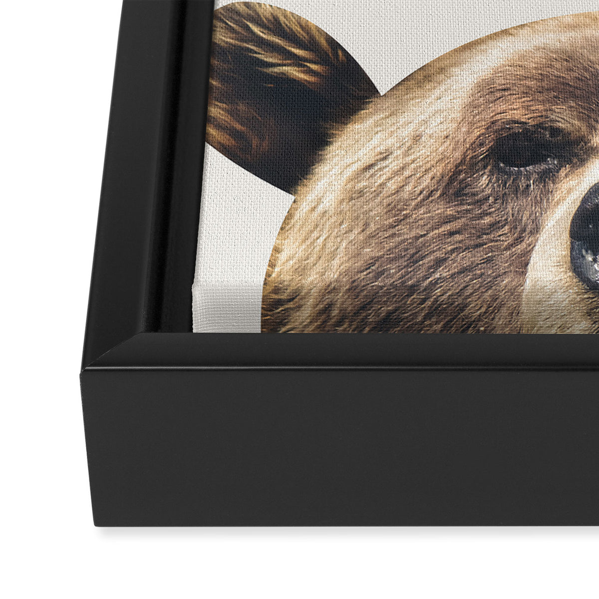 Bear Framed Canvas Print Gallery Image 3
