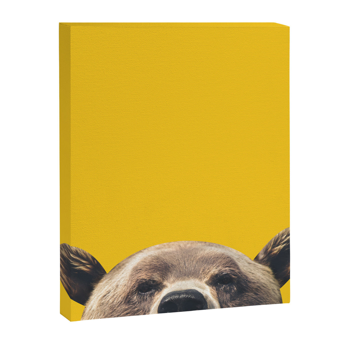 Bear - Yellow Canvas Print Gallery Image 8