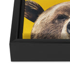 Bear - Yellow Framed Canvas Print Gallery Image 3