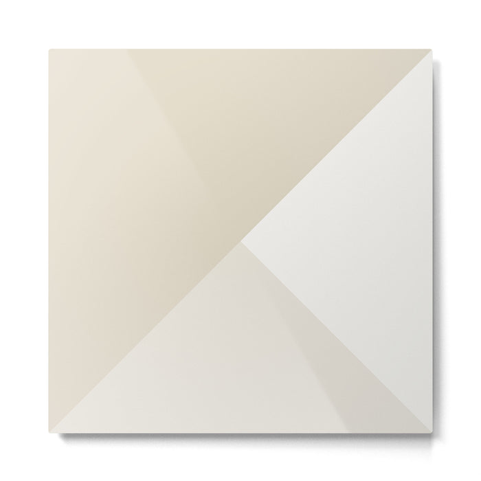 Bone Tones Metal Print Gallery Image 1