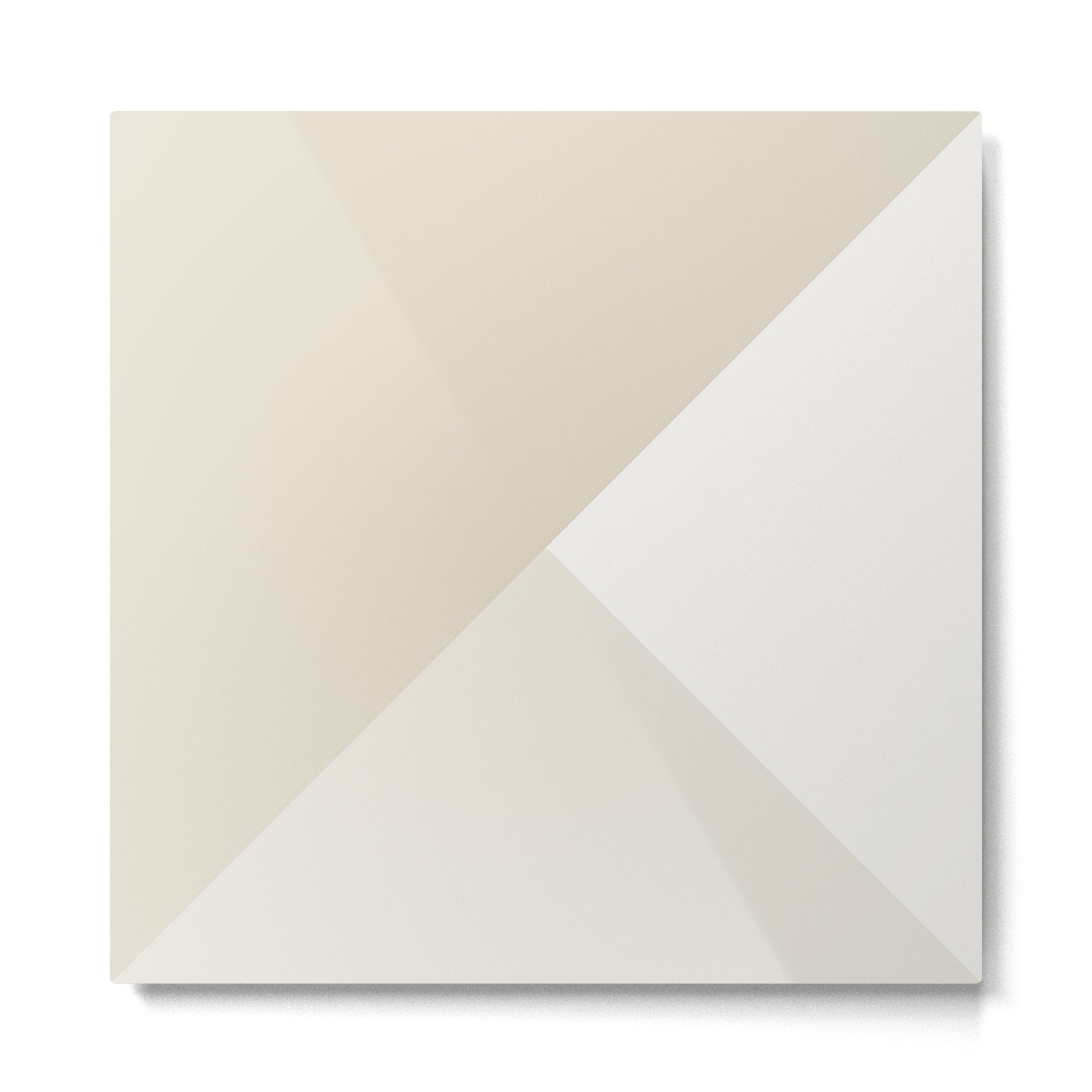 Bone Tones Metal Print Gallery Image 2