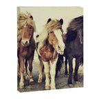 Horses Canvas Print Gallery Image 6