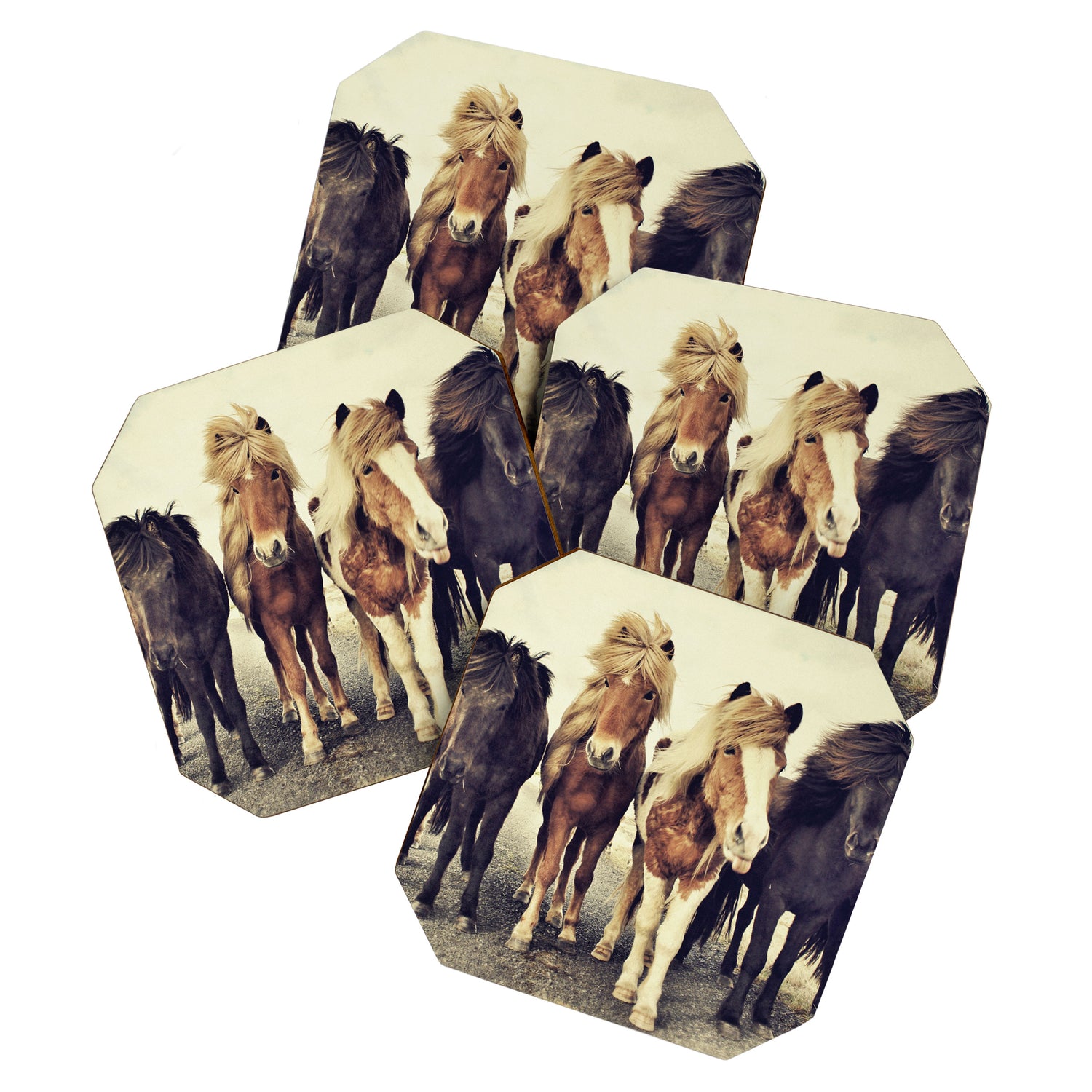 Horses Coaster Gallery Image 1