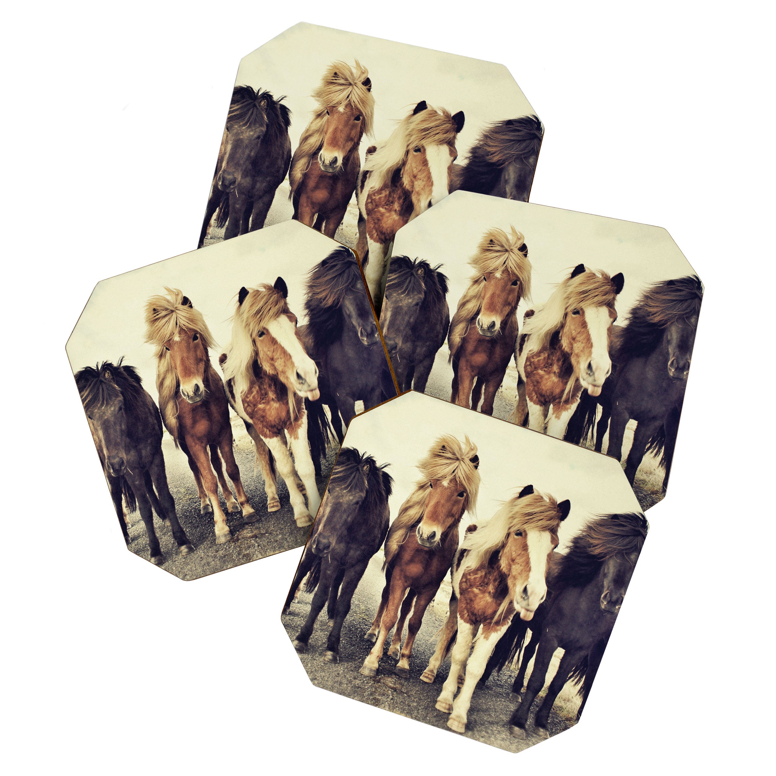 Horses Coaster Gallery Image 1