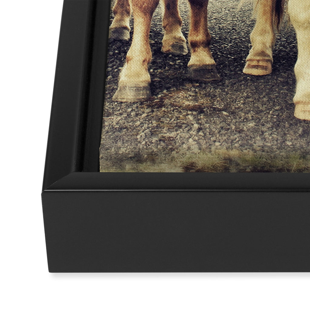 Horses Framed Canvas Print Gallery Image 3