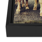Horses Framed Canvas Print Gallery Image 3