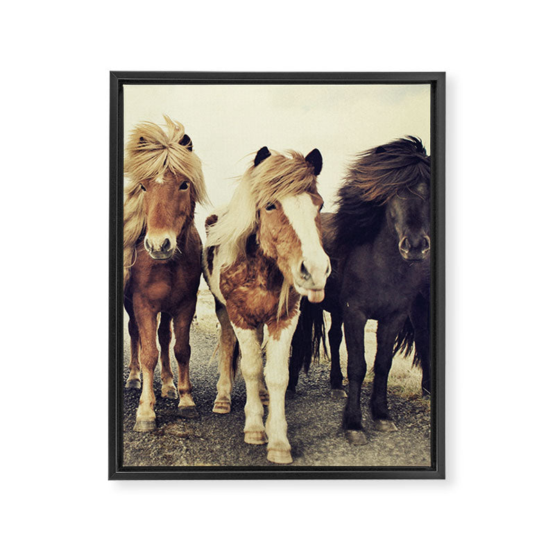 Horses Framed Canvas Print Gallery Image 6