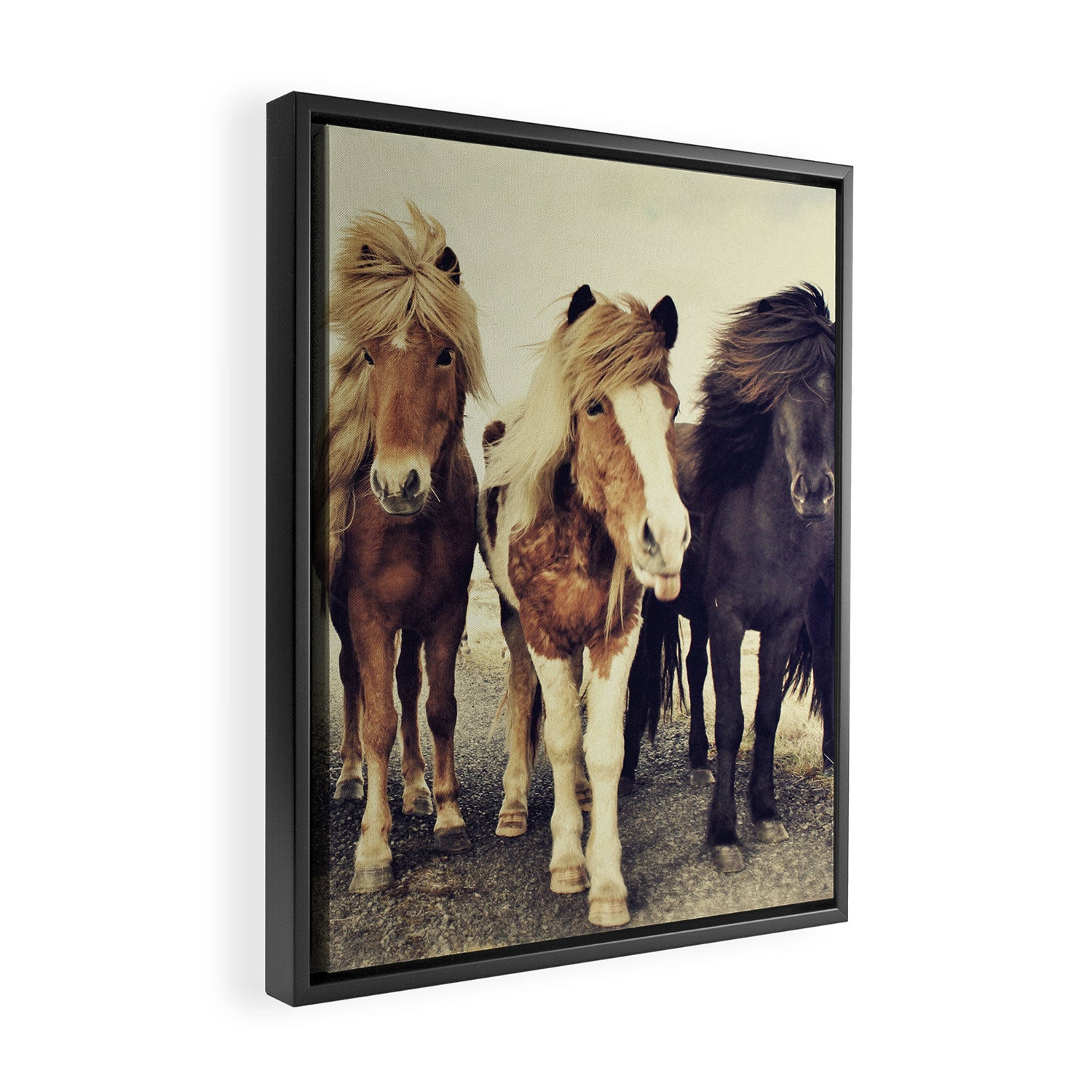 Horses Framed Canvas Print Gallery Image 2