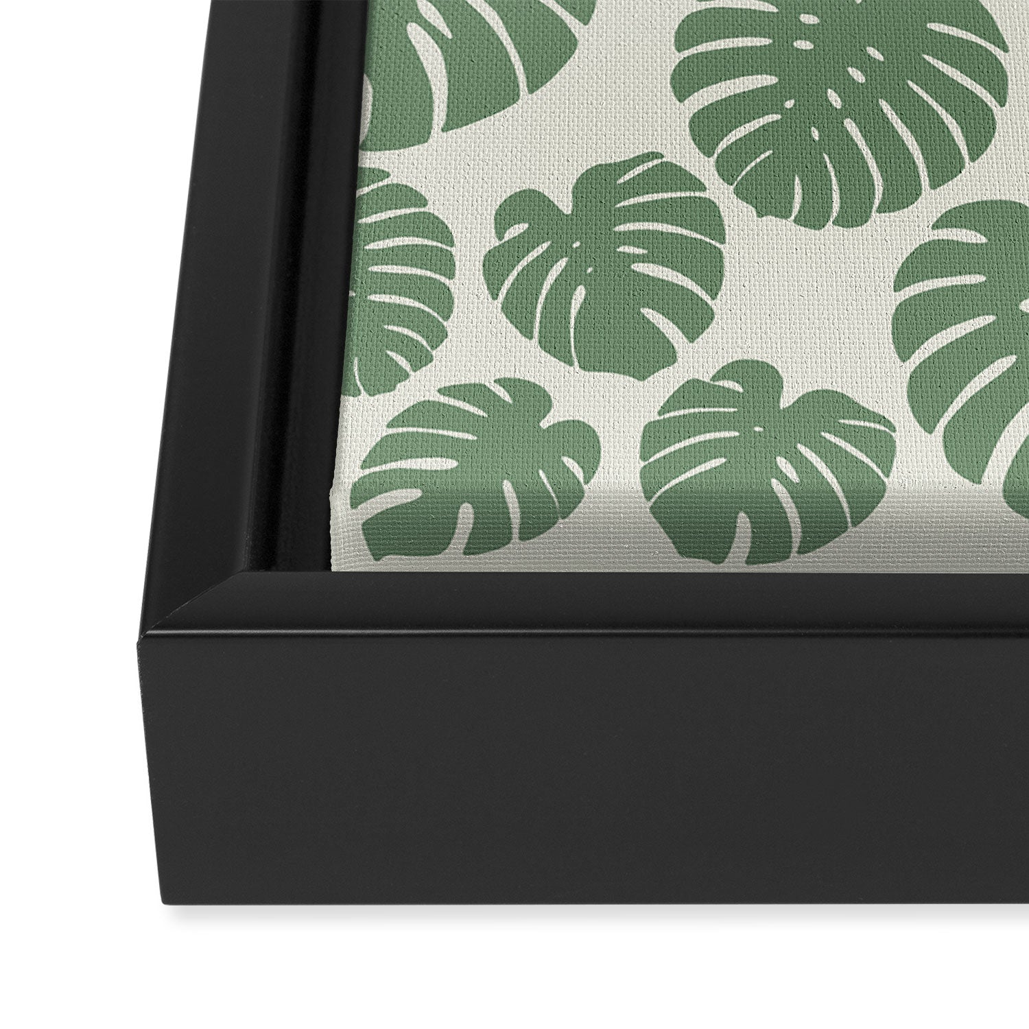 Monstera - Green Framed Canvas Print Gallery Image 3