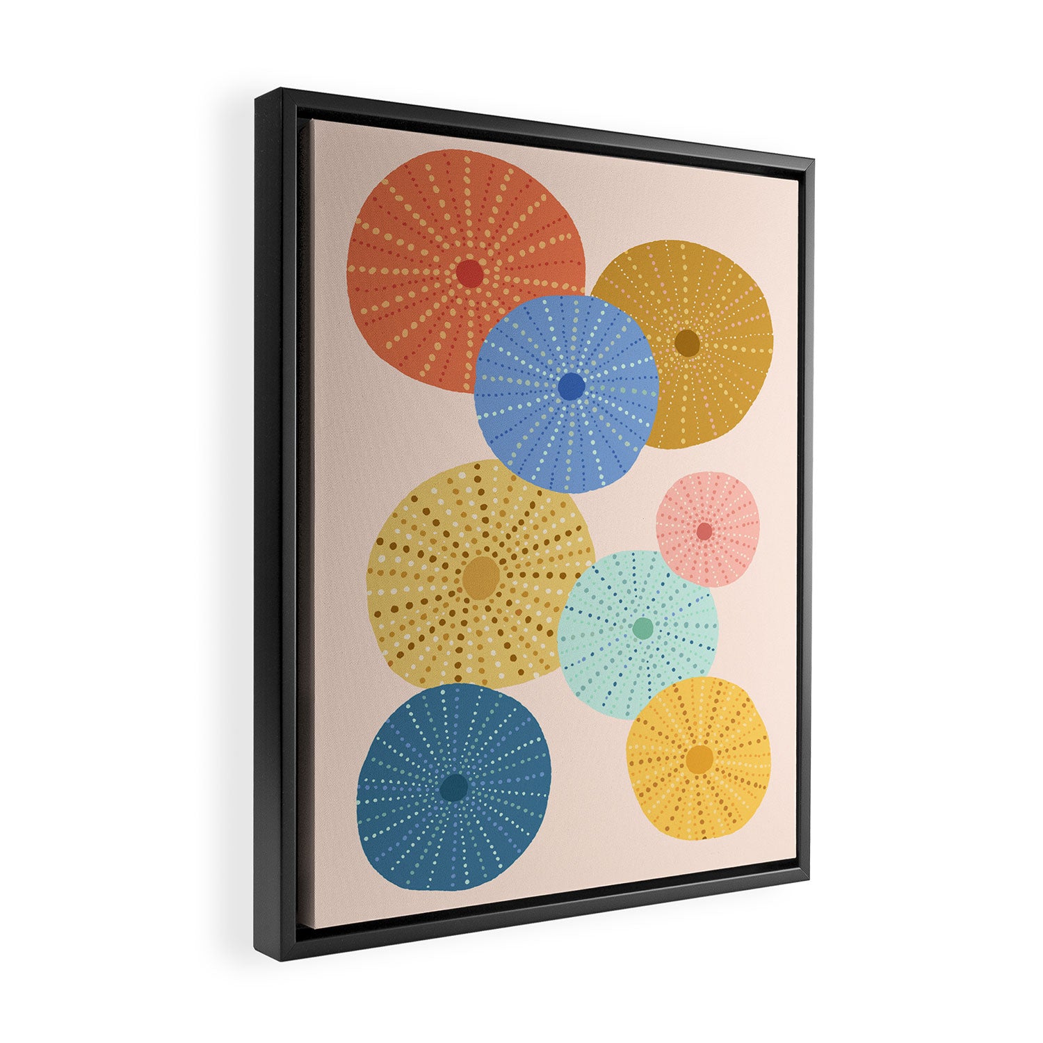 Coloful Sea Urchins 2 Framed Canvas Print Gallery Image 2