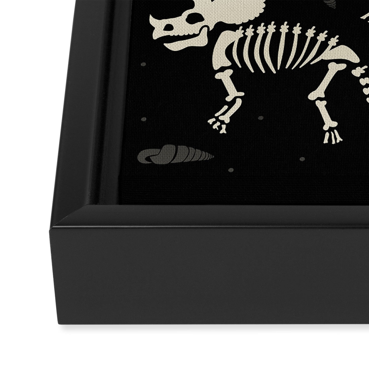 Dinosaur Fossils on Black Framed Canvas Print Gallery Image 3