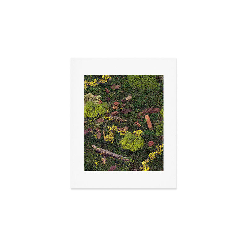 Forest Floor Art Print Gallery Image 1