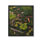 Forest Floor Framed Canvas Print Gallery Image 8