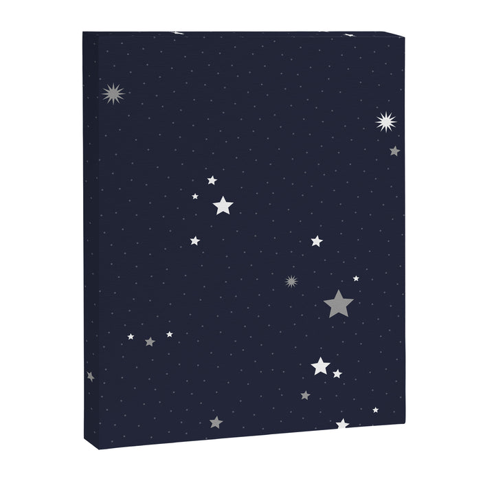 Starry Night Sky Canvas Print Gallery Image 1
