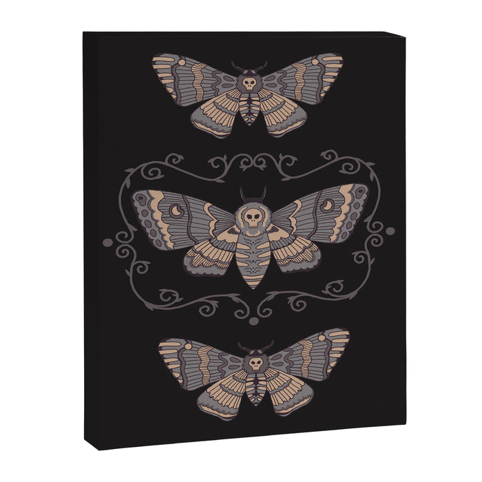 Taxidermy Death Moth at Midnight Canvas Print Gallery Image 1