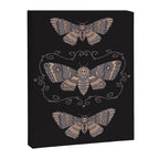 Taxidermy Death Moth at Midnight Canvas Print Gallery Image 6