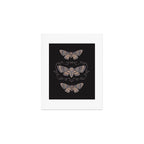 Taxidermy Death Moth at Midnight Art Print Gallery Image 1
