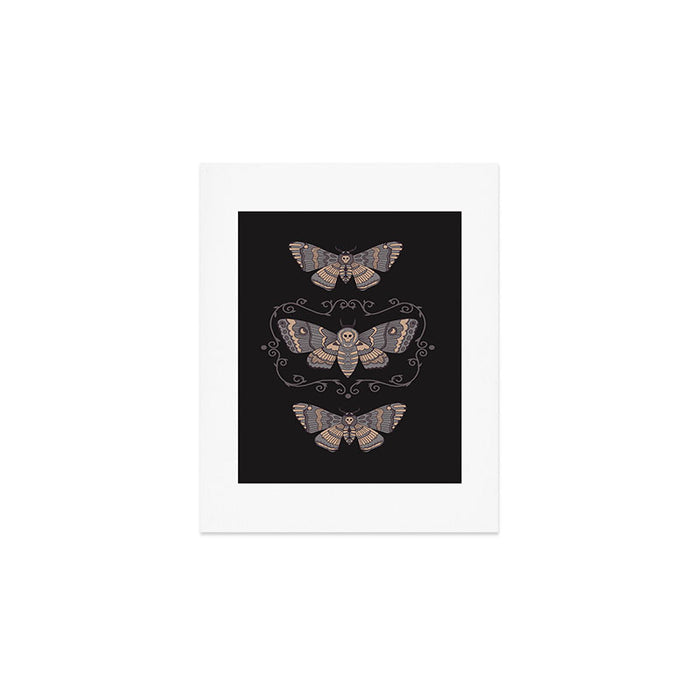 Taxidermy Death Moth at Midnight Art Print Gallery Image 1