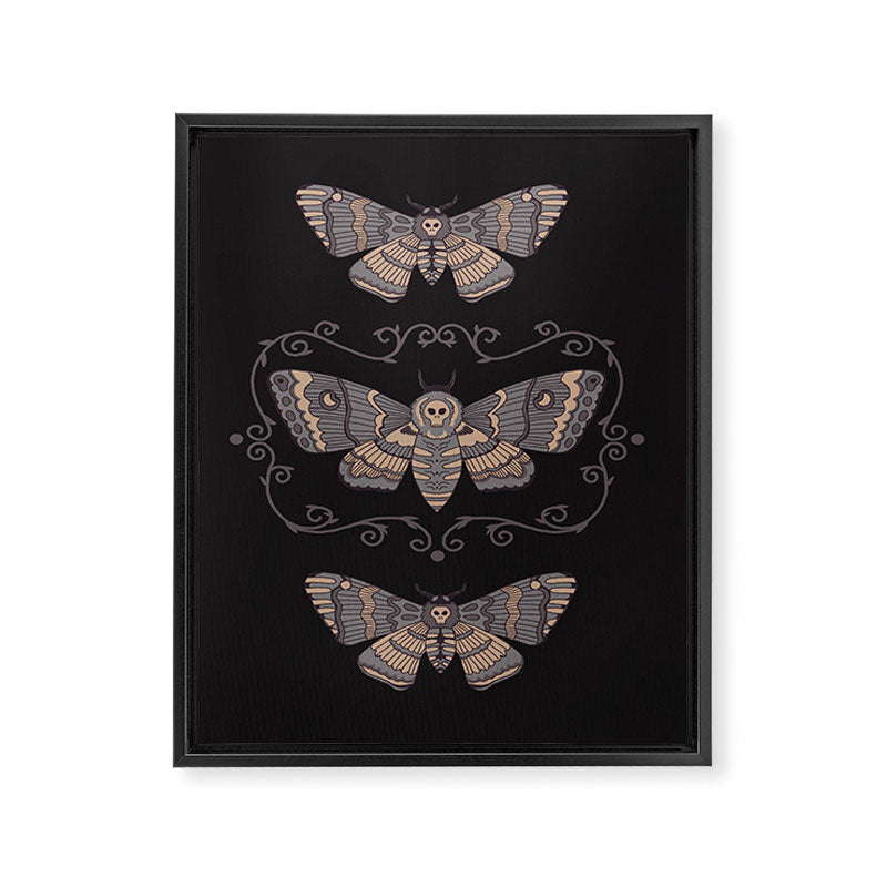 Taxidermy Death Moth at Midnight Framed Canvas Print Gallery Image 6