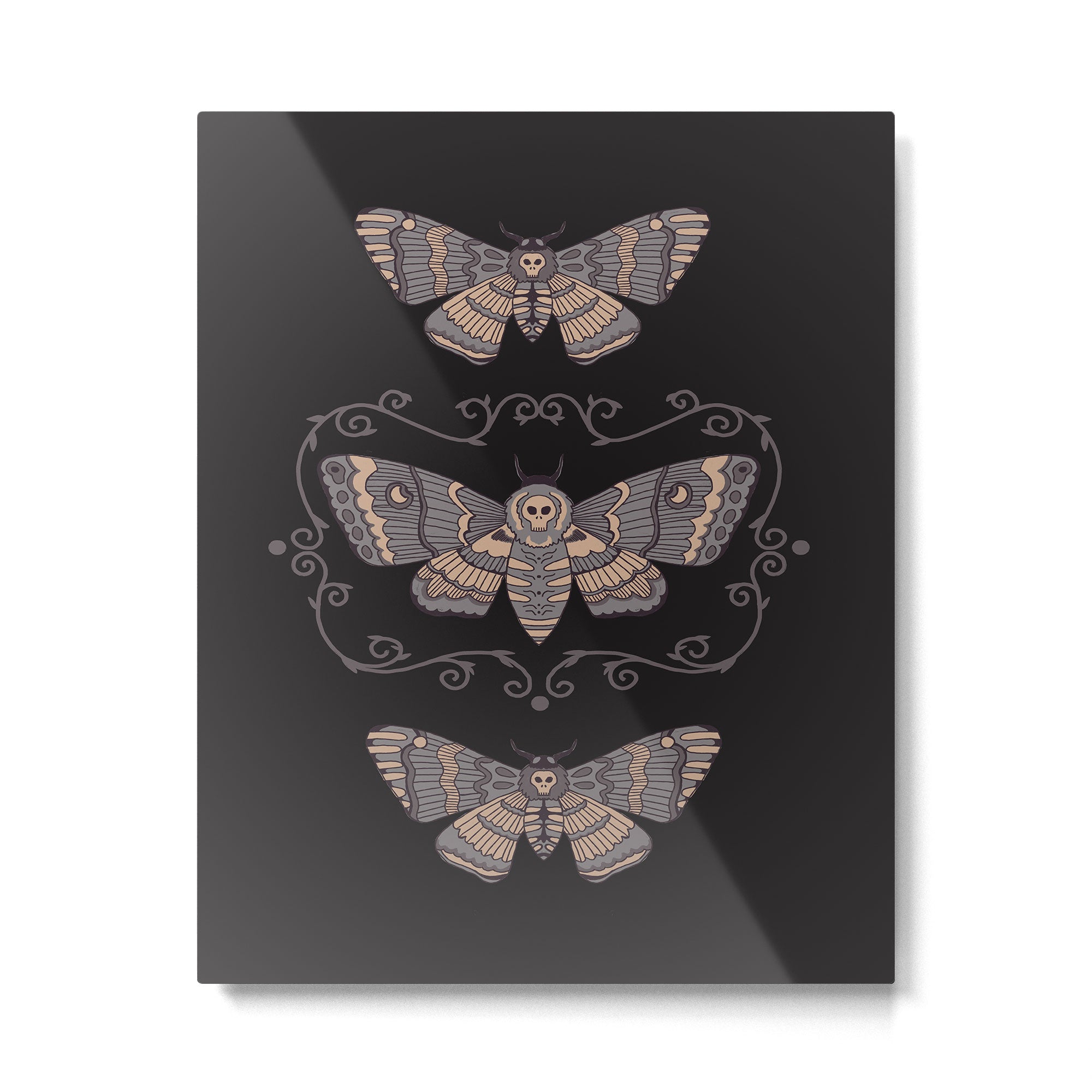 Taxidermy Death Moth at Midnight Metal Print Gallery Image 4