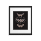 Taxidermy Death Moth at Midnight Framed Art Print Gallery Image 5