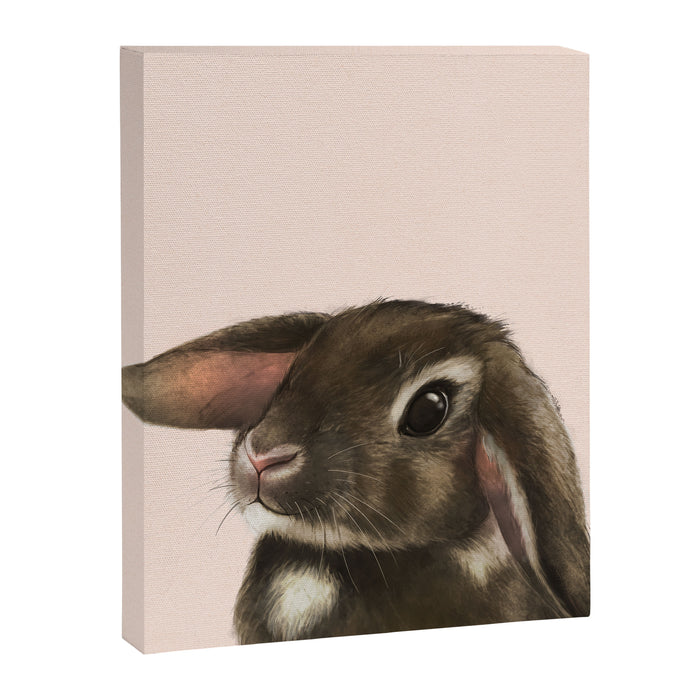 baby bunny Canvas Print Gallery Image 1