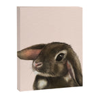 baby bunny Canvas Print Gallery Image 8