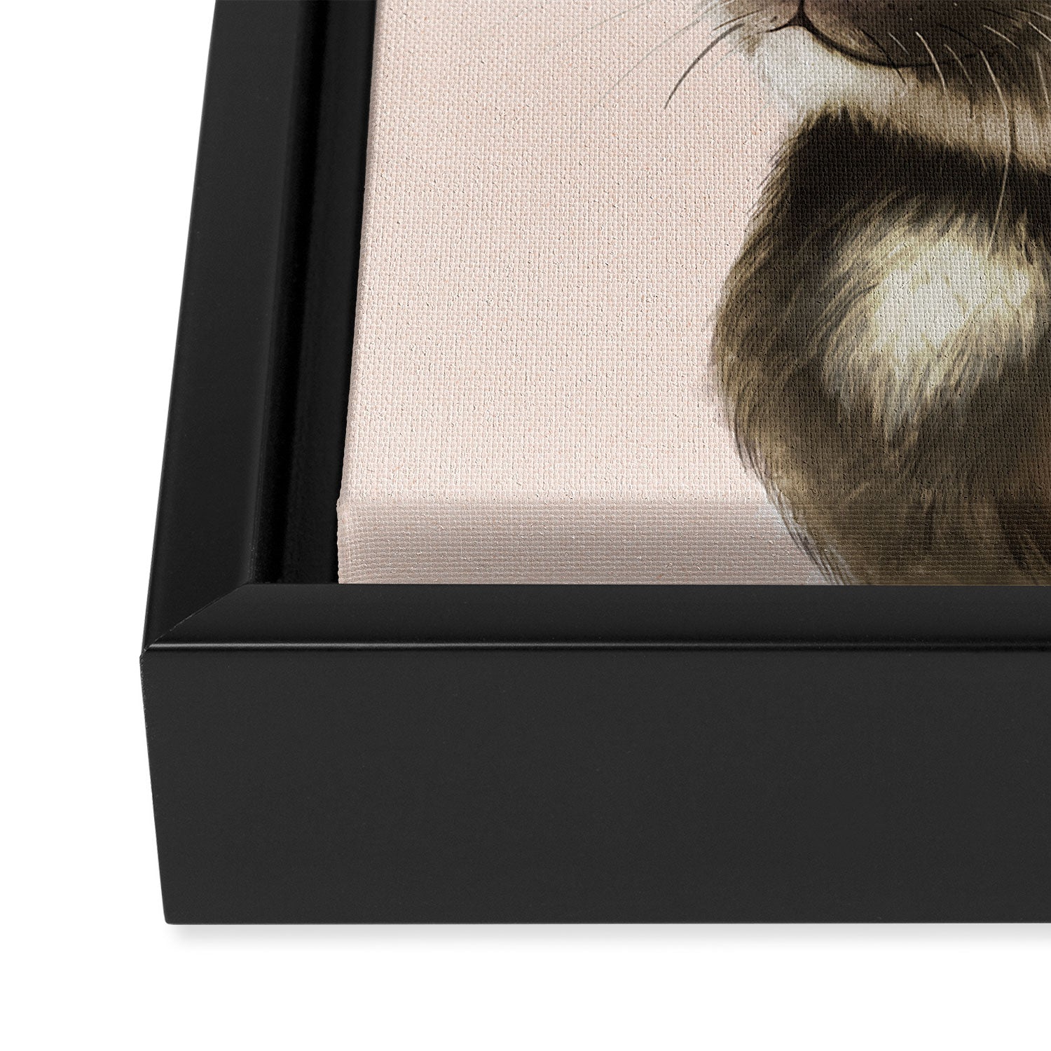 baby bunny Framed Canvas Print Gallery Image 3