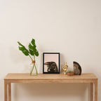 baby bunny Framed Canvas Print Gallery Image 4