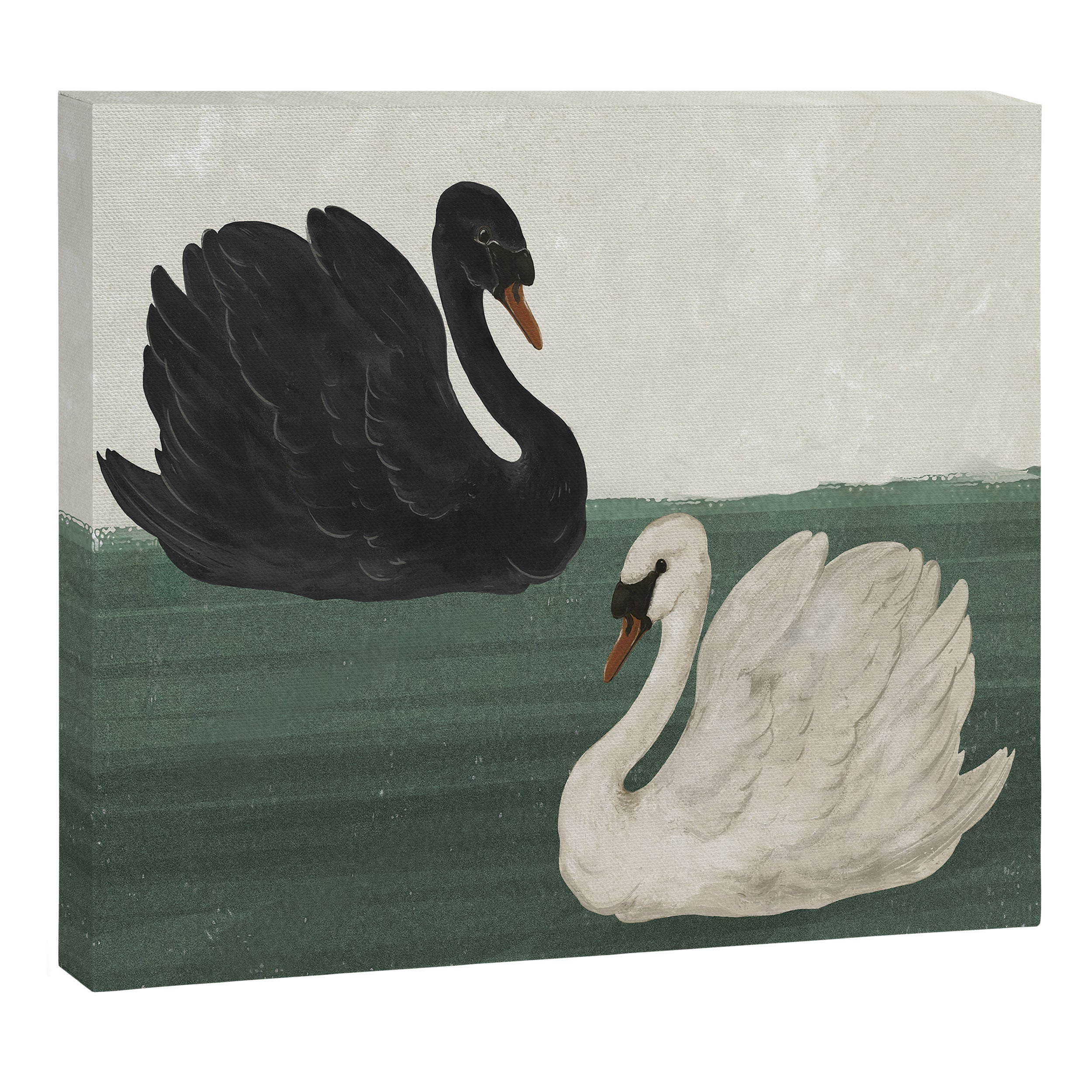 Black Swan White Swan Canvas Print Gallery Image 14