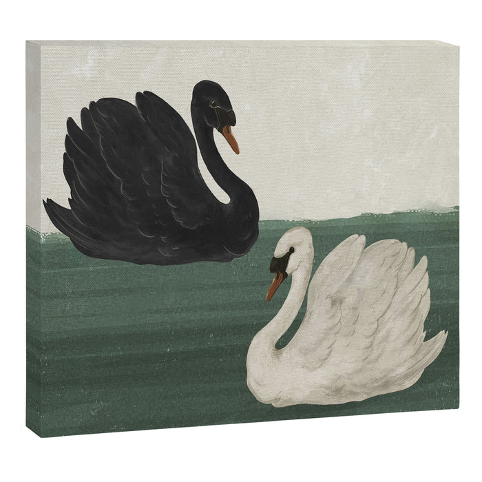 Black Swan White Swan Canvas Print Gallery Image 1