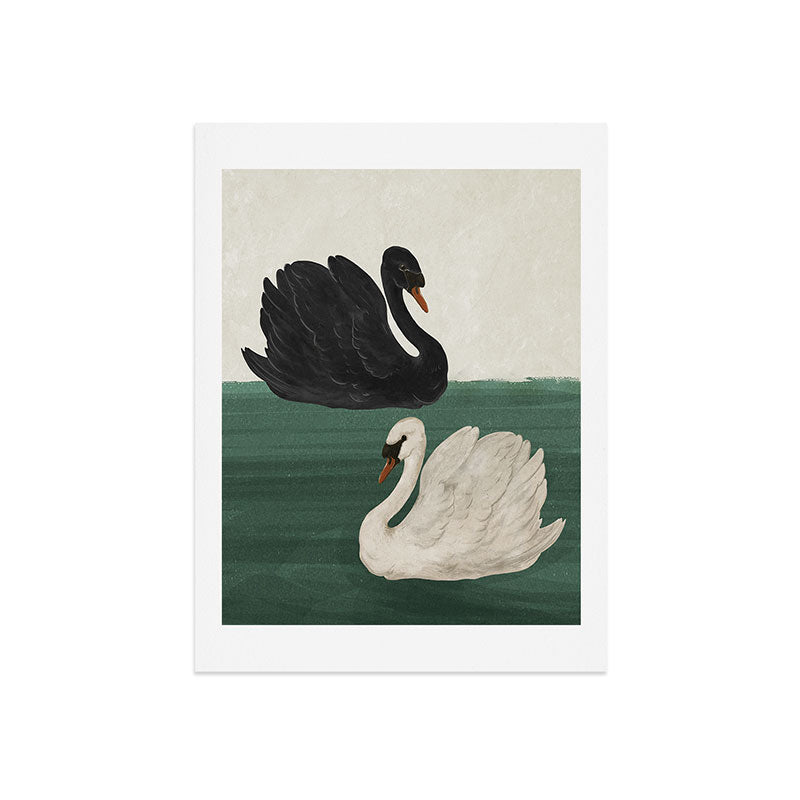 Black Swan White Swan Art Print – Society6