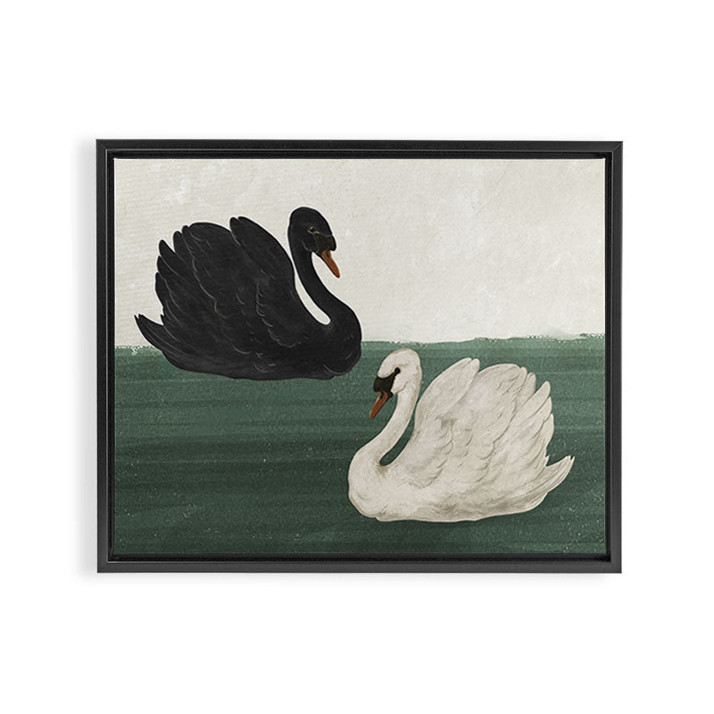 Black Swan White Swan Framed Canvas Print Gallery Image 14