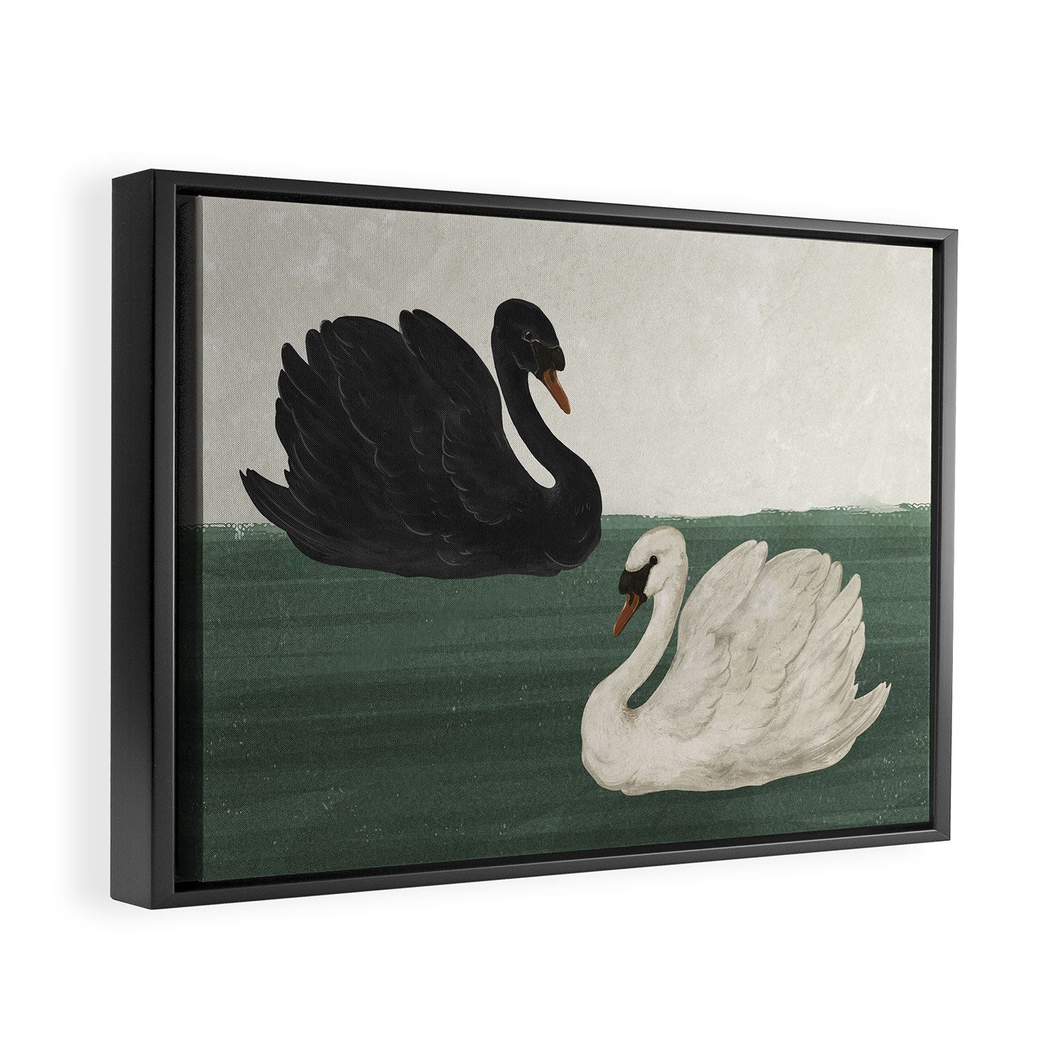 Black Swan White Swan Framed Canvas Print Gallery Image 2