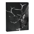 Elk and Rabbit Canvas Print Gallery Image 6