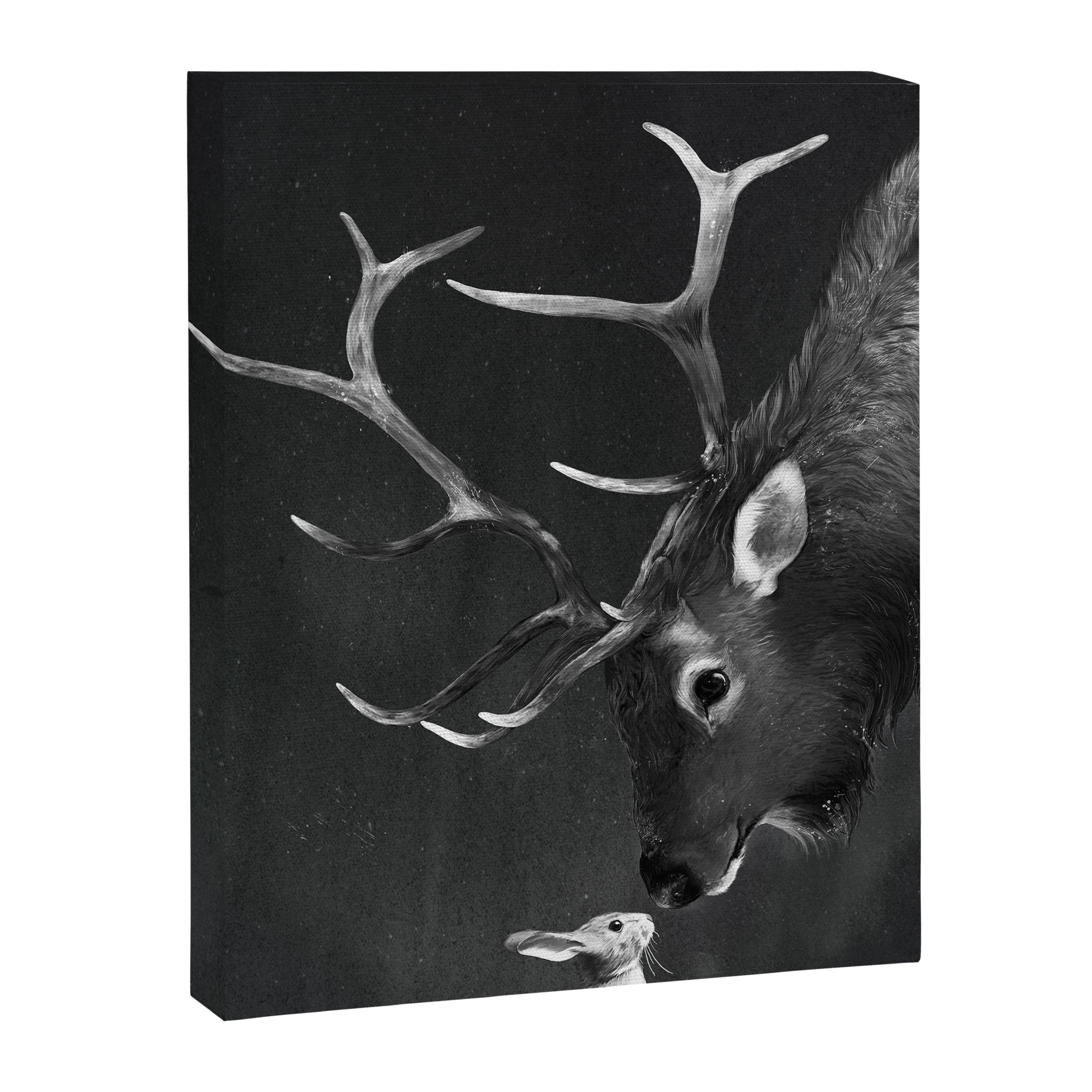 Elk and Rabbit Canvas Print Gallery Image 6