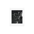 Elk and Rabbit Art Print Gallery Image 1