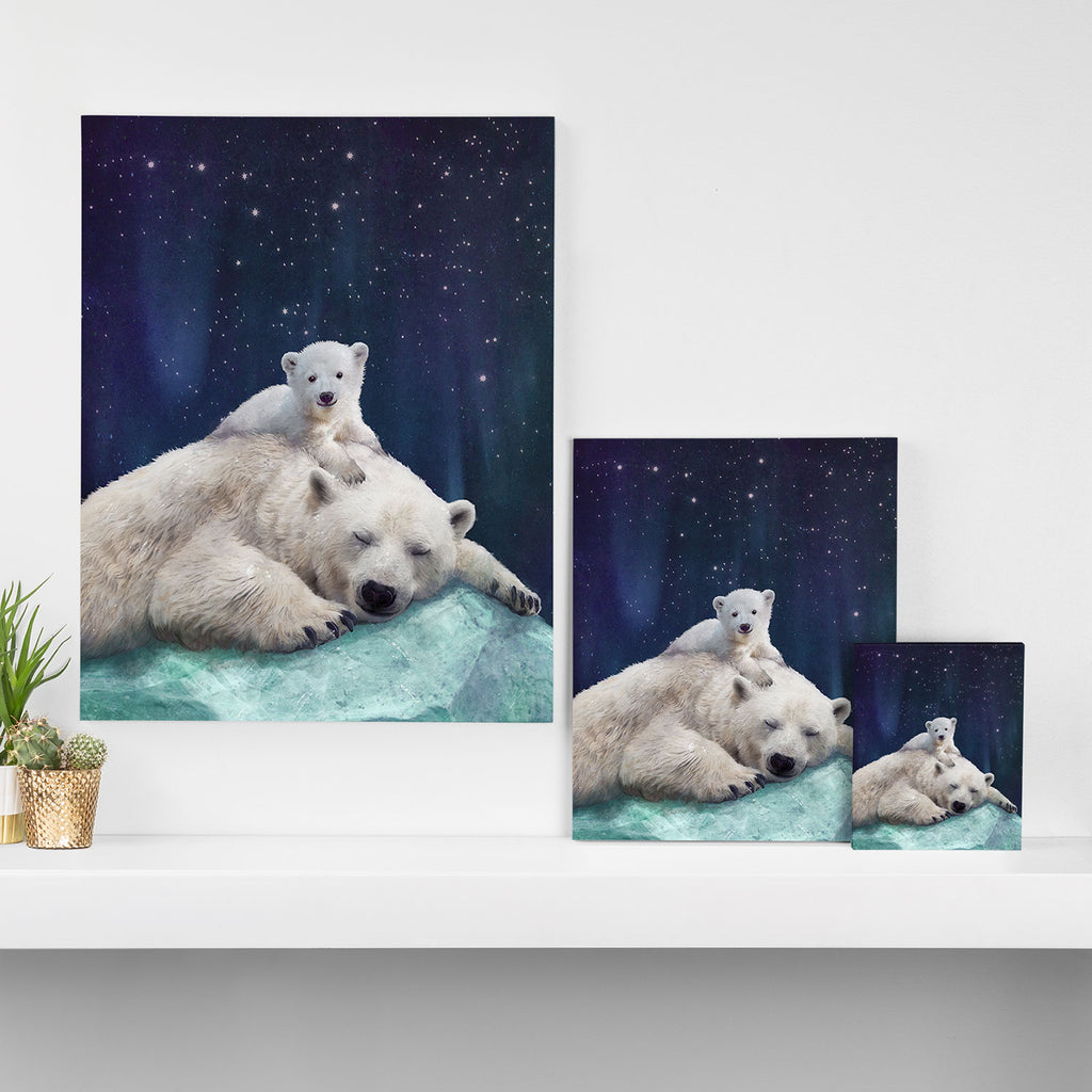Polar Bears Canvas Print Gallery Image 3