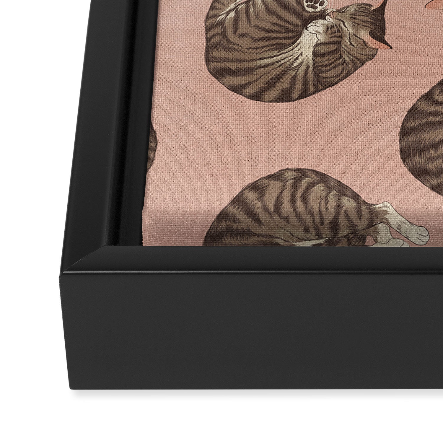 polka dot cats Framed Canvas Print Gallery Image 3