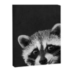 Raccoon Canvas Print Gallery Image 6