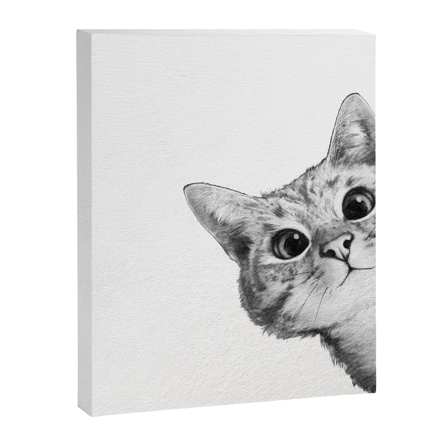 sneaky cat Canvas Print Gallery Image 3