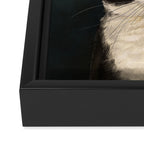 Tuxedo Cat Portrait Framed Canvas Print Gallery Image 3