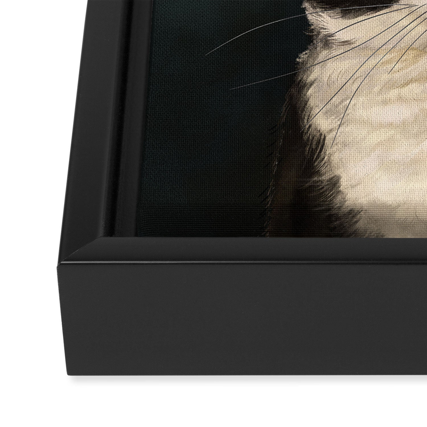 Tuxedo Cat Portrait Framed Canvas Print Gallery Image 3