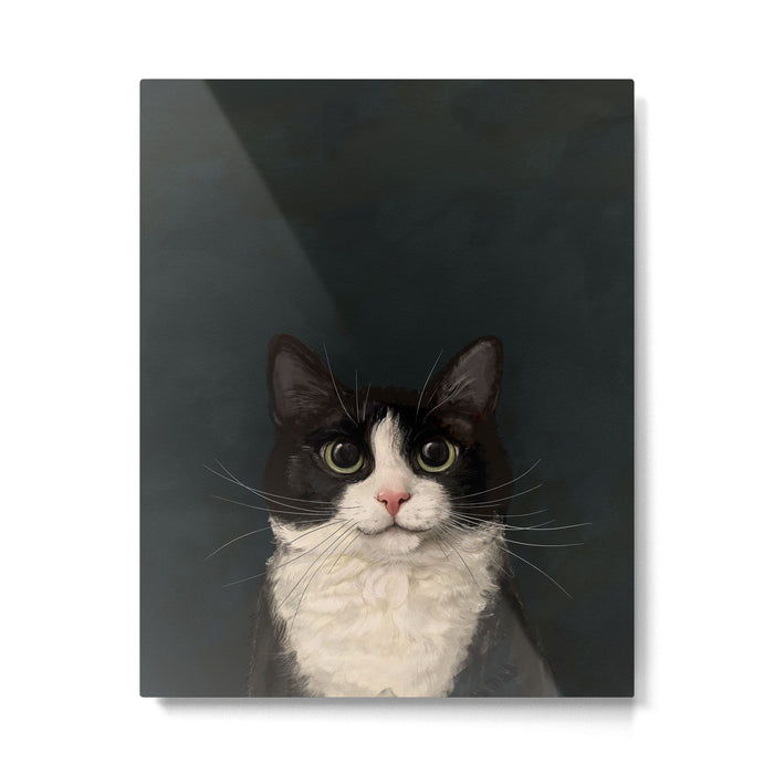 Tuxedo Cat Portrait Metal Print Gallery Image 1