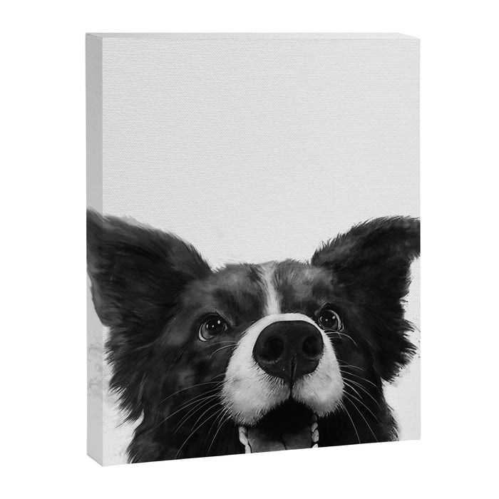 who's a good boy? Canvas Print Gallery Image 1