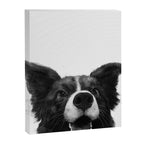 who's a good boy? Canvas Print Gallery Image 8