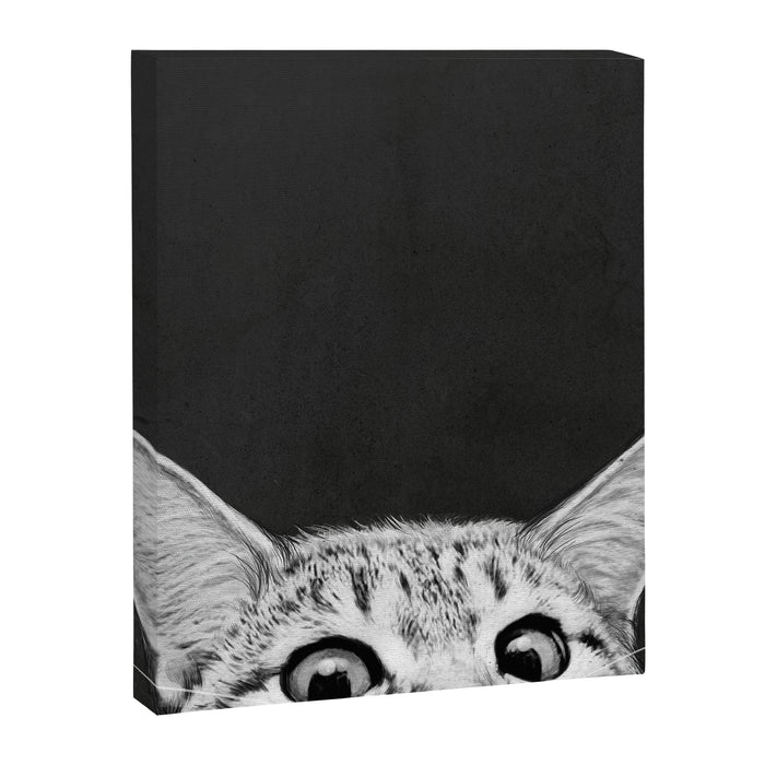 You asleep yet? Canvas Print Gallery Image 1