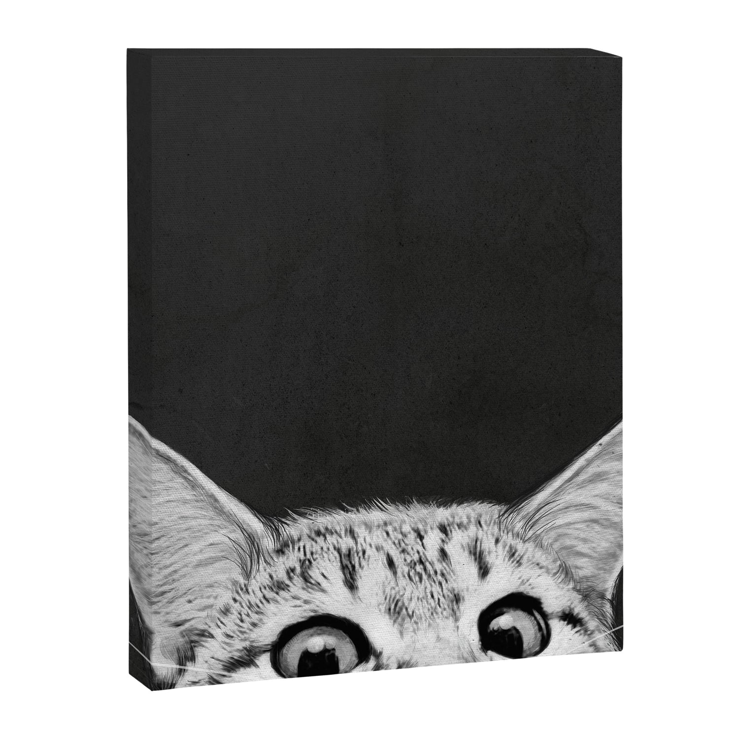 You asleep yet? Canvas Print Gallery Image 6